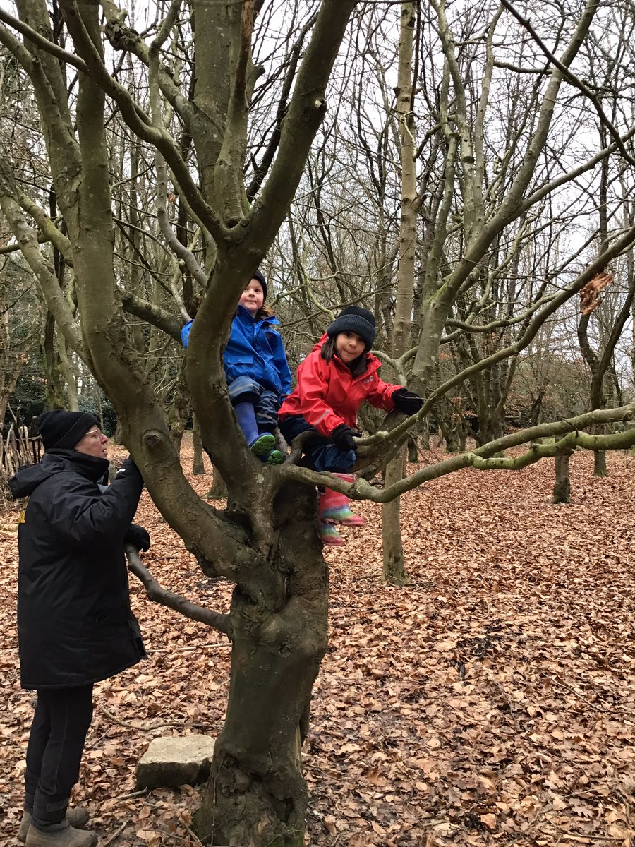 PipersForestSch's tweet image. Reception @PipersPrePrep enjoyed discovering new paths and trees around our grounds. We also had the first snow fall ❄️ #winter #forestfun #pipersgrounds