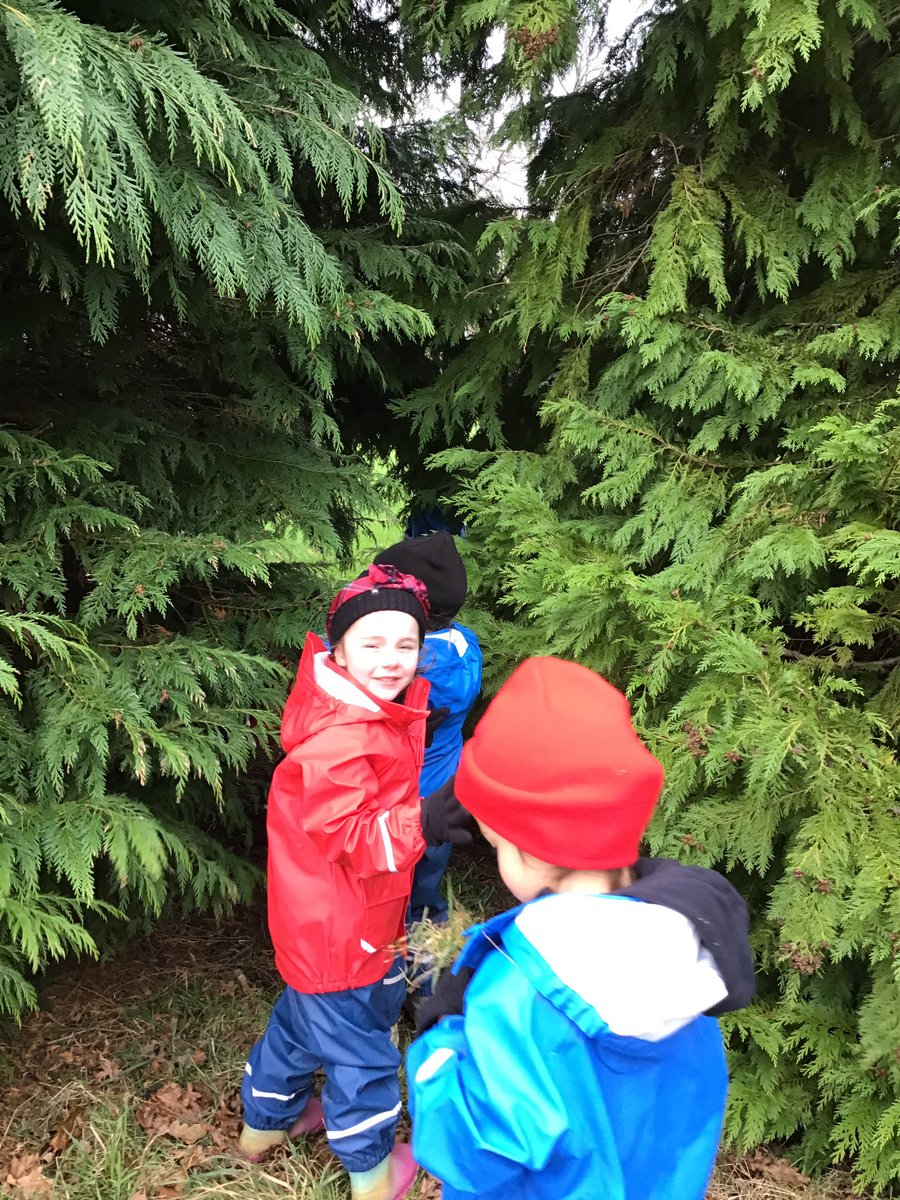 PipersForestSch's tweet image. Reception @PipersPrePrep enjoyed discovering new paths and trees around our grounds. We also had the first snow fall ❄️ #winter #forestfun #pipersgrounds