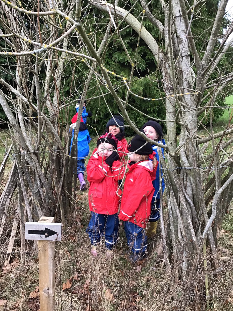 PipersForestSch's tweet image. Reception @PipersPrePrep enjoyed discovering new paths and trees around our grounds. We also had the first snow fall ❄️ #winter #forestfun #pipersgrounds