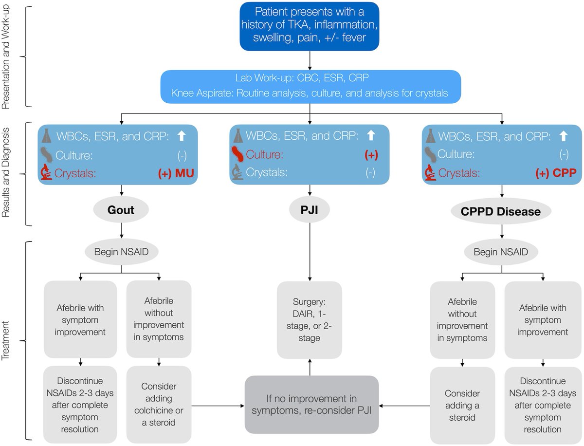 jbjs's tweet image. Diagnosis, Treatment, and Outcomes of Crystalline Arthropathy in the Setting of Total Knee Arthroplasty

#knee #basicscience

bit.ly/47rAHwm