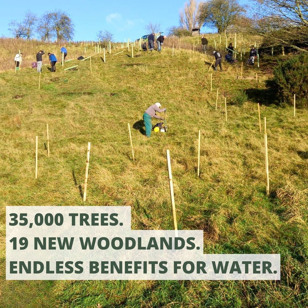 RibbleTrust's tweet photo. Over the next few months, 35,000 trees will be planted across 19 sites in the #RibbleCatchment.
Why does it matter? Well, trees and rivers have a very close relationship and, when combined, bring a bunch of benefits!
Discover how you can get involved at: https://t.co/QqN6NLE9mP https://t.co/wesqkSb8mi