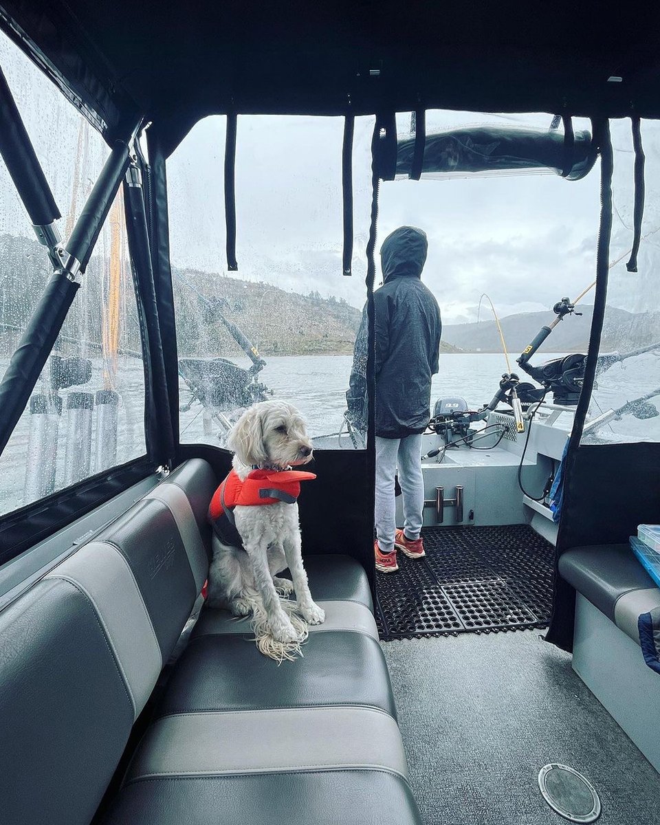 CannonFishing's tweet photo. Fishing in the rain isn't for everyone π #CannonDownriggers
#Downrigger #fishing https://t.co/cKUzUzJqSD