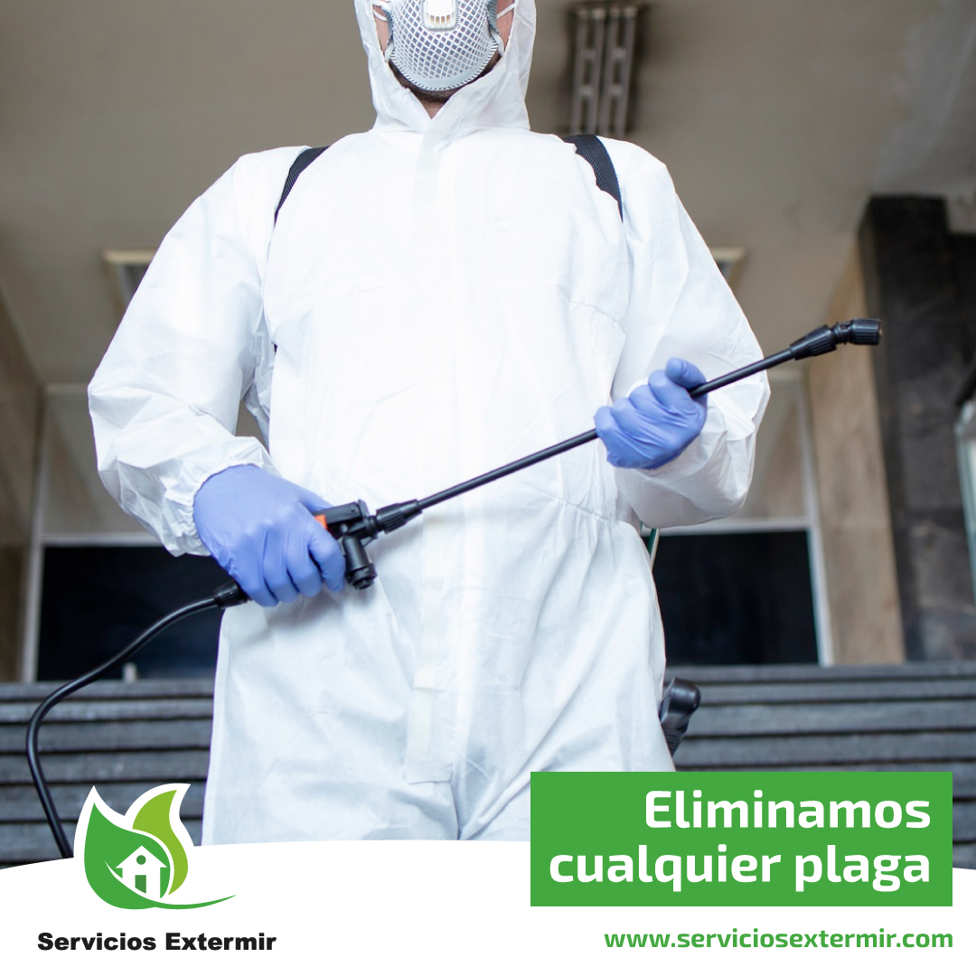 SExtermir's tweet image. Cuando se trata de tu salud y bienestar, debes confiar en los mejores 🙌🏻.

¡Contacta con Servicios Extermir ☎️ para la eliminación de cualquier plaga y evita que insectos o roedores 🐭 te contagien patologías!

serviciosextermir.com