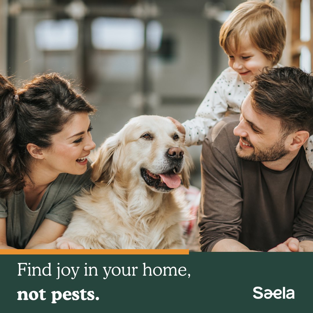 With Saela, you can relish every moment without the disruption of unwanted visitors in your home. 
#saelapestcontrol #saela #pestcontrol #pestfree