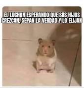 MumalaTigre's tweet photo. ✨Lunes de meme✨
¿Como están? A pesar del contexto socioeconomico que estamos viviendo, siempre es bueno reir😏😅
(+)
#Mumala #Tigre #Lunes #memes https://t.co/V1dkBG9qNJ