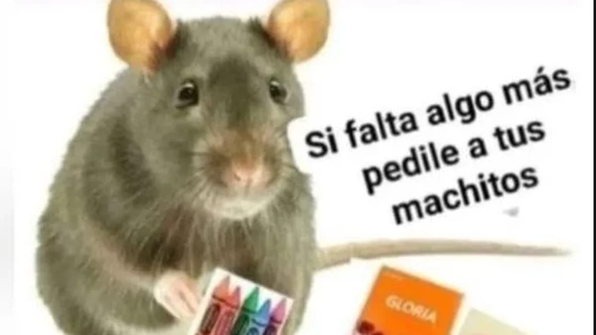 MumalaTigre's tweet photo. ✨Lunes de meme✨
¿Como están? A pesar del contexto socioeconomico que estamos viviendo, siempre es bueno reir😏😅
(+)
#Mumala #Tigre #Lunes #memes https://t.co/V1dkBG9qNJ
