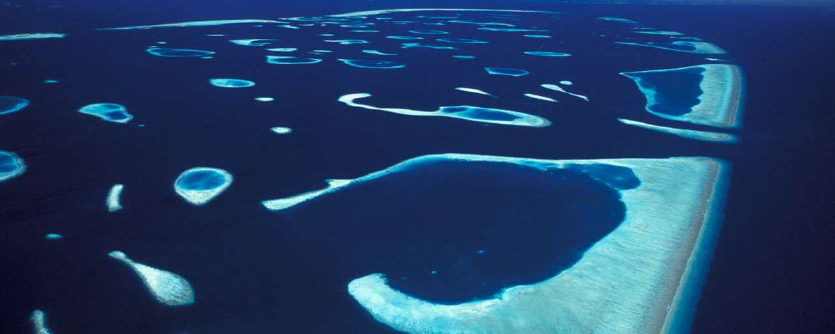 UmarMaldives's tweet photo. More than 1,200 islands
More than 3,000 reefs (lagoons, can be reclaimed as islands) 
The Maldives. #GoMaldives #visiMaldives https://t.co/RHMoqHuqiN