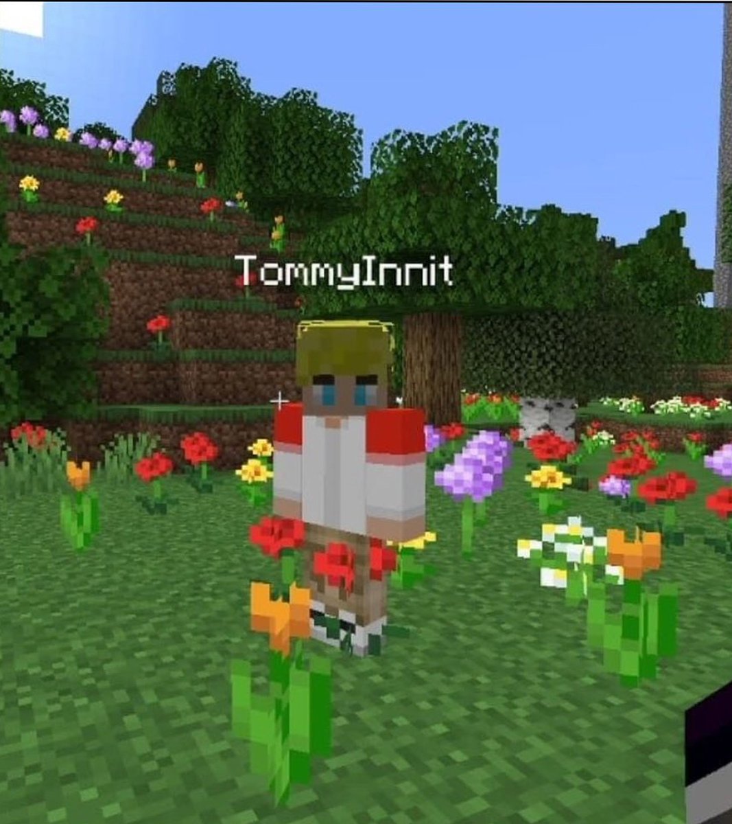 braindedd_stan's tweet photo. @MangoJellyJuul He a streamer &amp; a youtuber
He used to roleplay on a minecraft server called DSMP, and the screenshot above sounds like something his character c!Tommy would say (also, his character had a cow named Henry)
Haven't watched him for a while though, not sure what he's up to now https://t.co/2Pms9aI7RW