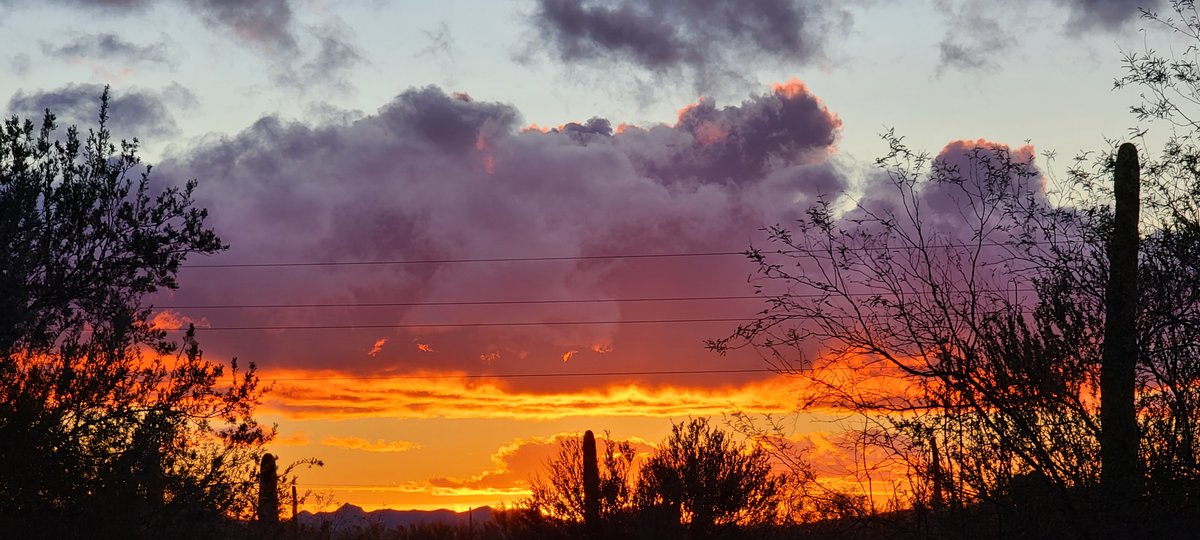 Golden hour after the storm last night. #wild_tucson #tucson #arizona #az #arizonaphotographer #arizonaliving #tucsonaz #tucsonarizona #arizonadesert #explorearizona #exploretucson #visitarizona #tucsondesert #offthegrid #nearnature #withnature #thisistucson #sunset #clouds #sky