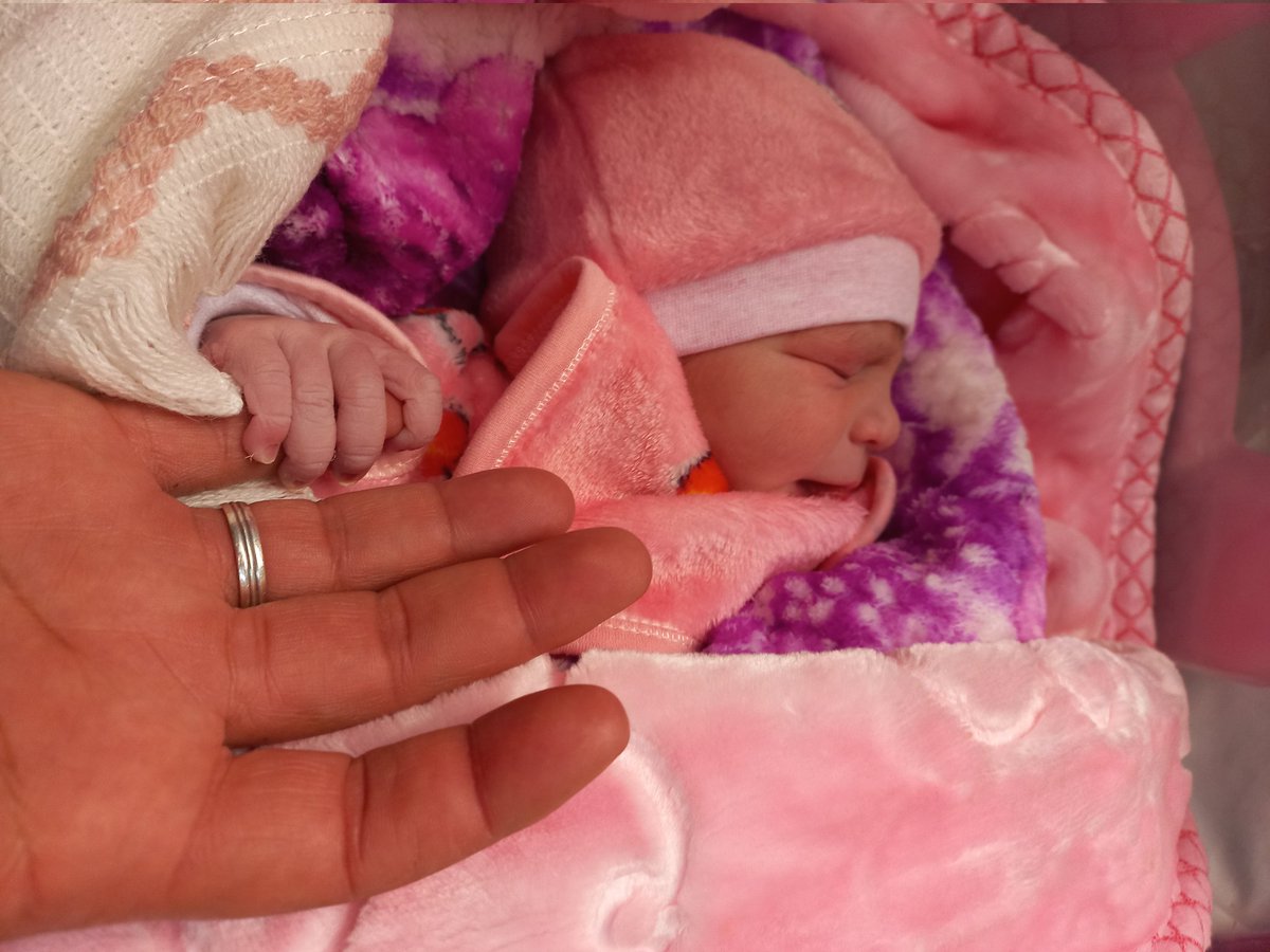 Mustafa Darwesh 𝕏 tweet media