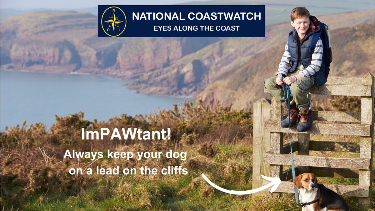 National Coastwatch Institution tweet media