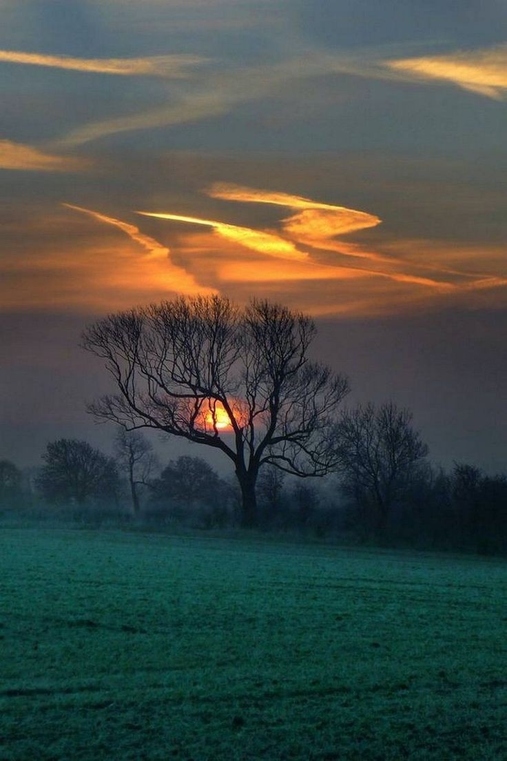 Camille 🌻 tweet media