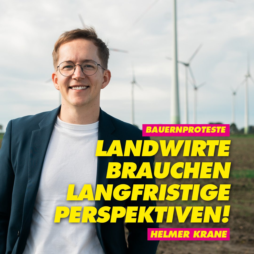 FDP Schleswig-Holstein tweet media