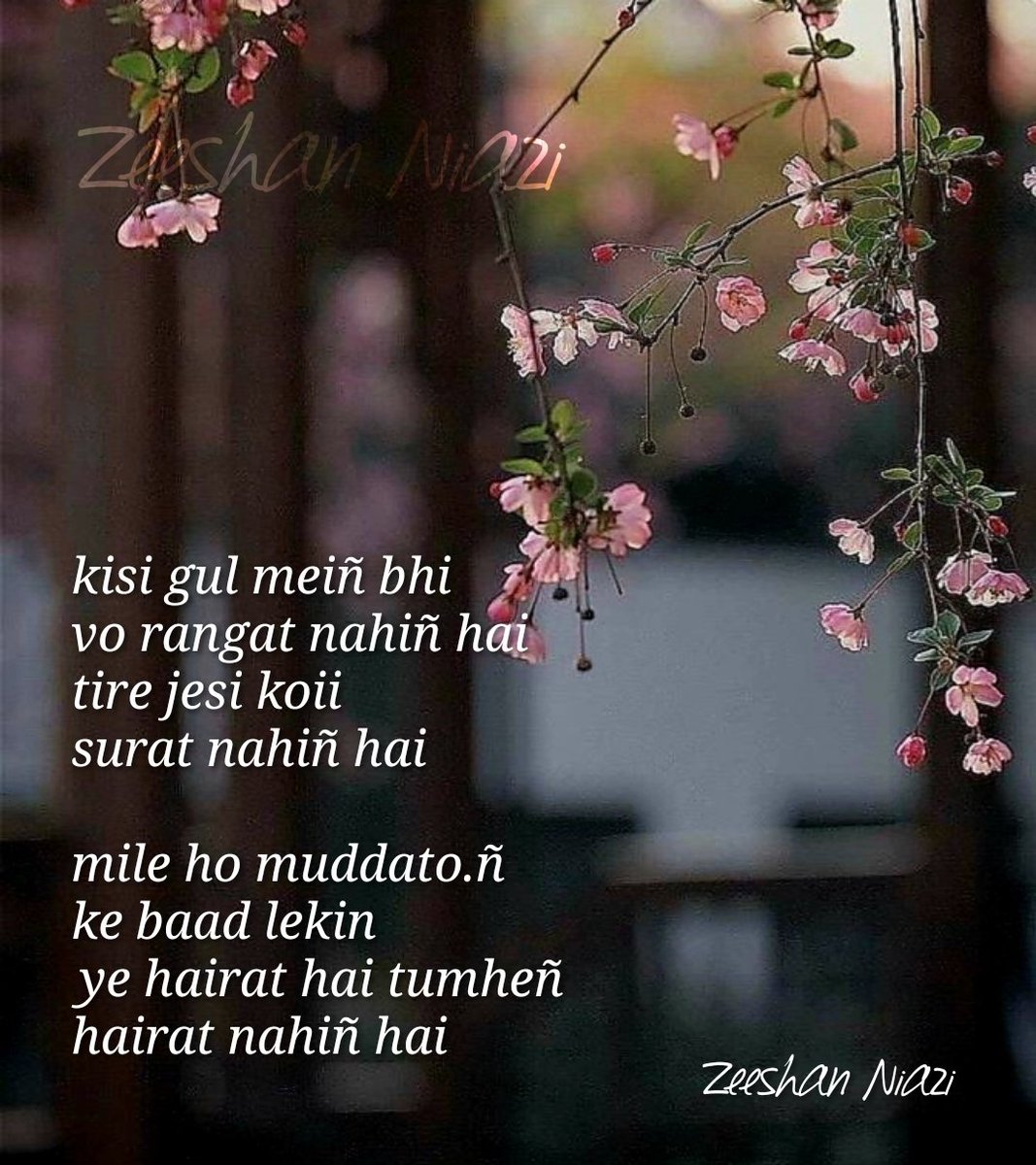 Zeeshan16898343's tweet photo. किसी गुल में भी वो रंगत नहीं है
तिरे जैसी कोई सूरत नहीं है 
मिले हो मुद्दतों के बाद लेकिन
ये हैरत है तुम्हें हैरत नहीं है 
© Zeeshan Niazi

#rekhtafoundation 
#rekhta
#urdupoetry 
#poetry
#shairi https://t.co/zNMYDpVOvw