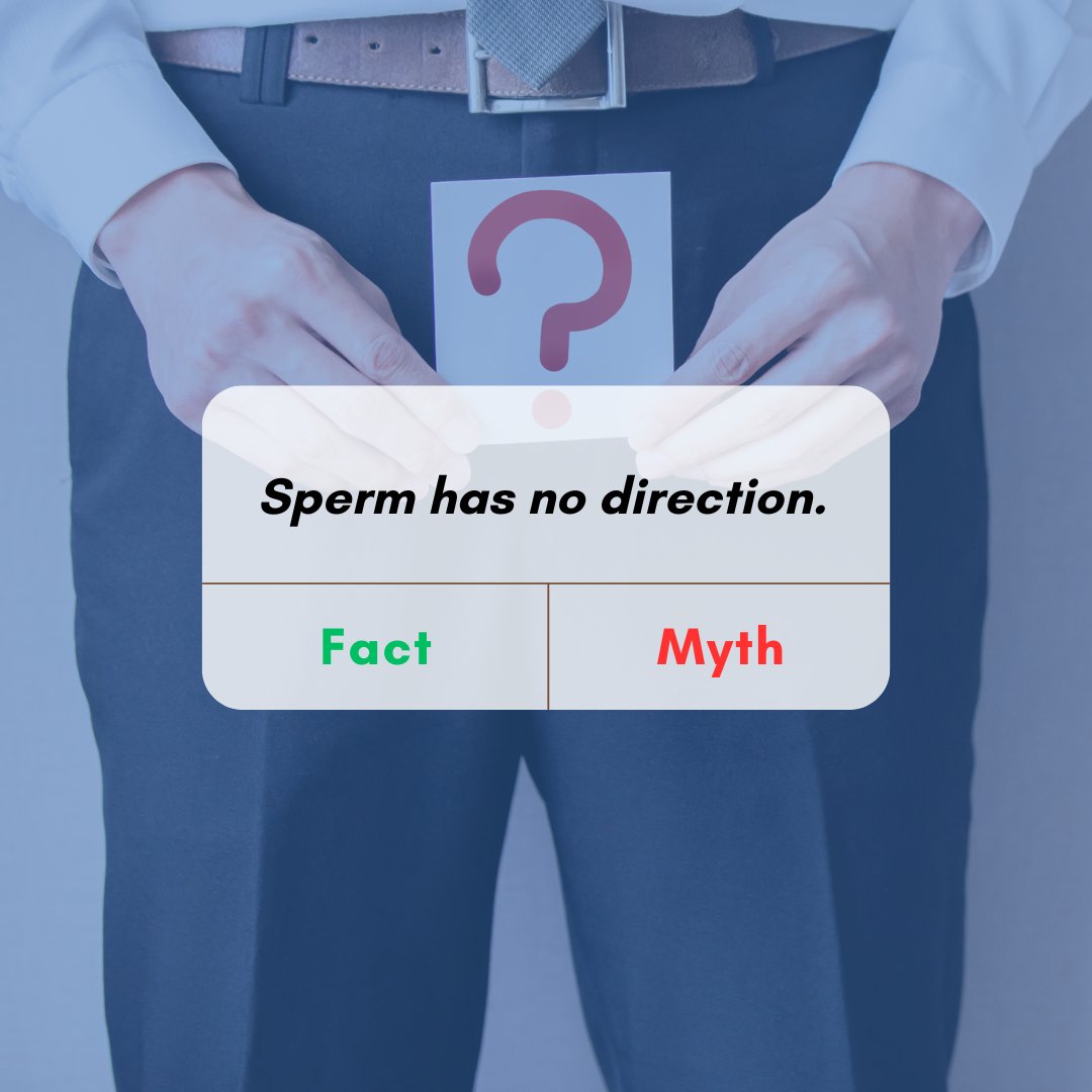 Its a fact! The tale of the sperm heading toward the egg is not correct. Sperm moves in all directions, this is a possible reason as to why couples only have a 20% chance of conceiving each month. 
#spermhealth #menshealth #malefertility