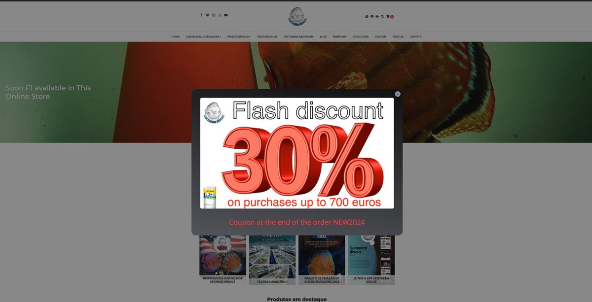 santaremdiscusplus.com Flash Discount