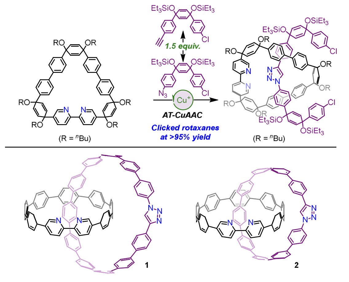 New draft manuscript by @nanohoops led by recent graduate, Dr. James May, posted to @ChemRxiv shorturl.at/mnvGP. The 'clicked' intermediate is easily scalable and therefore should be useful to others that want to make various nanohoop MIMs.