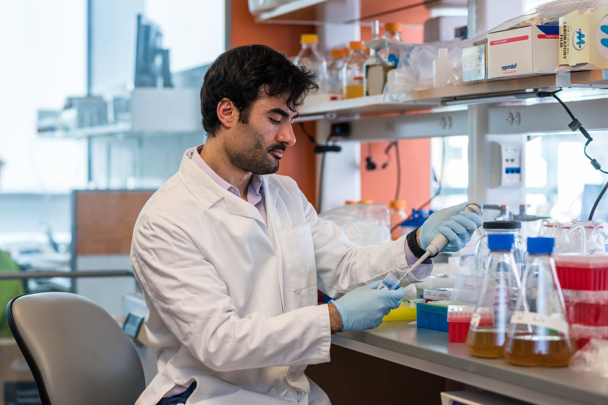 Congratulations @SahandHormoz on promotion to Associate Professor of Systems Biology, @HarvardMed/ @DanaFarber. The Hormoz lab aims to to control biological systems to understand life and cure disease. Learn more: @HormozLab
