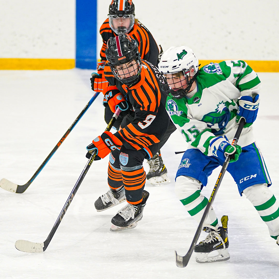 Elite 9 Hockey tweet media