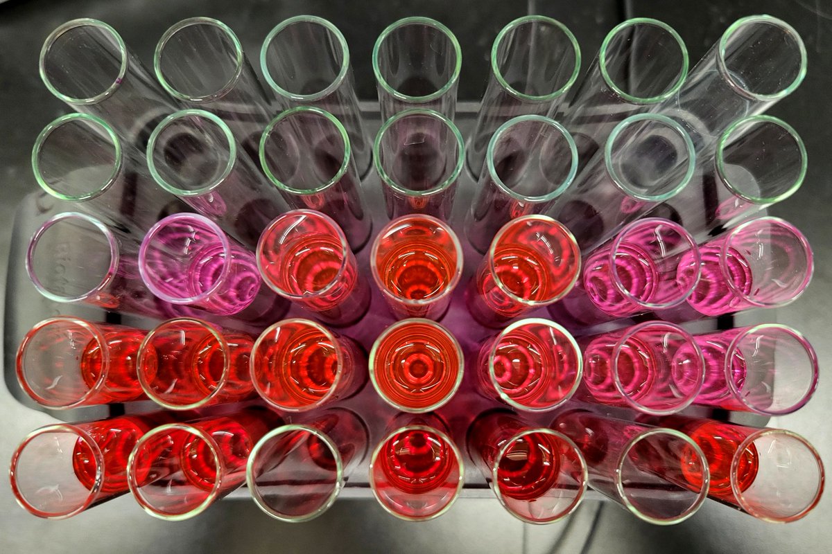 Geordi Frere tweet media