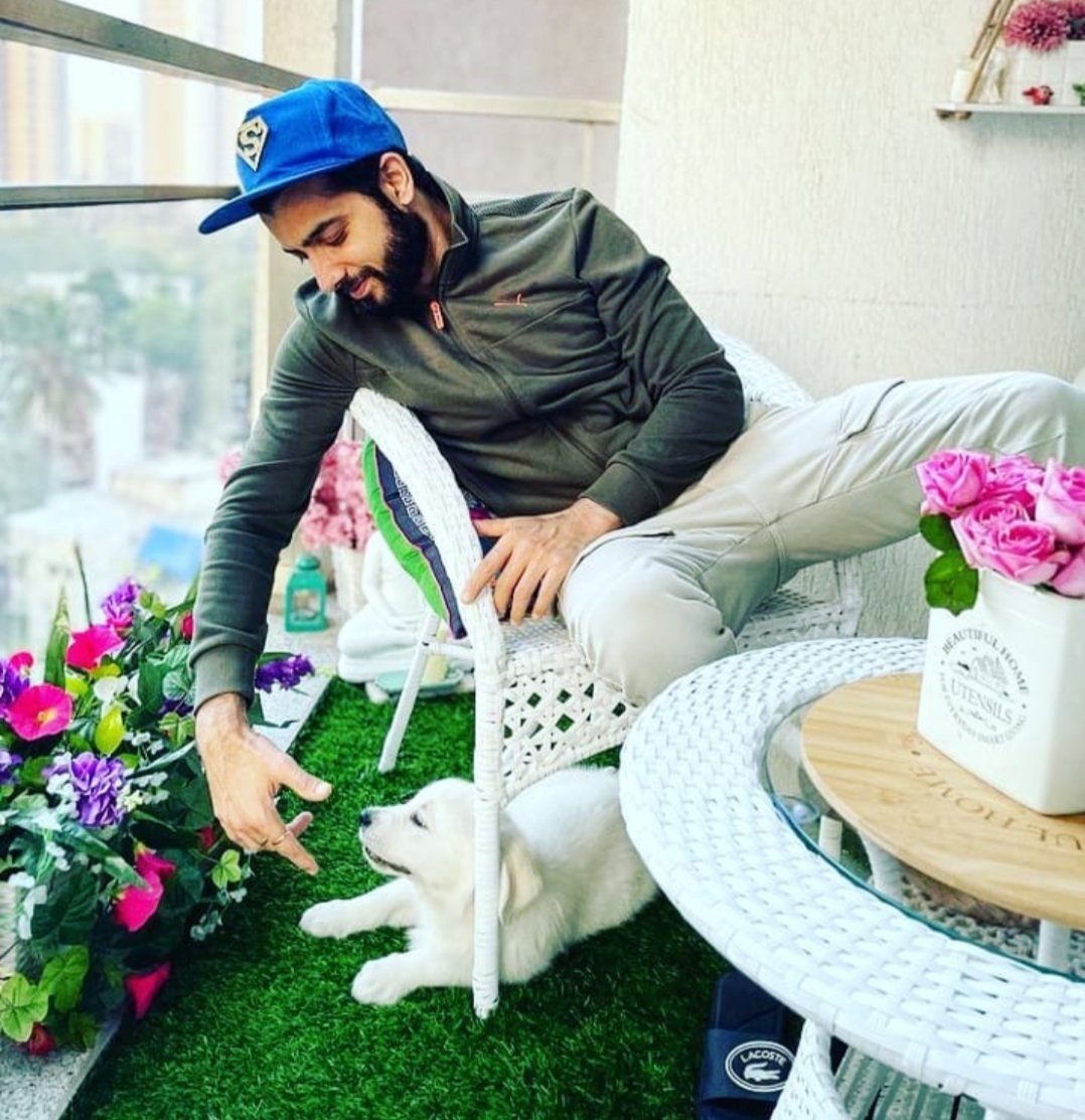 shiningsprinkll's tweet photo. HBD SHARAD MALHOTRA
#SharadMalhotra https://t.co/KbowyJtwdg