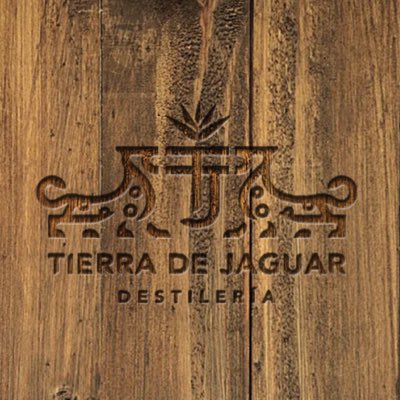 TierradeJaguar's tweet photo. #NuevaFotoDePerfil https://t.co/U9hUWZNIJM