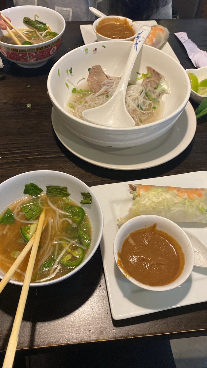 brandon asian cuisine in davie is life changing. highly recommend the pho and spring rolls!!!!