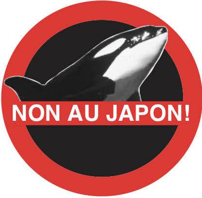 Trois #orques captives devraient être transférées du #Marineland #Antibes vers un aquarium au #Japon, malgré les inquiétudes concernant leur santé et la poursuite de leur exploitation #MarinelandAntibes #SauvonsNosOrques #StopDelphinarium #zoo #unsanctuairepaslejapon #orques