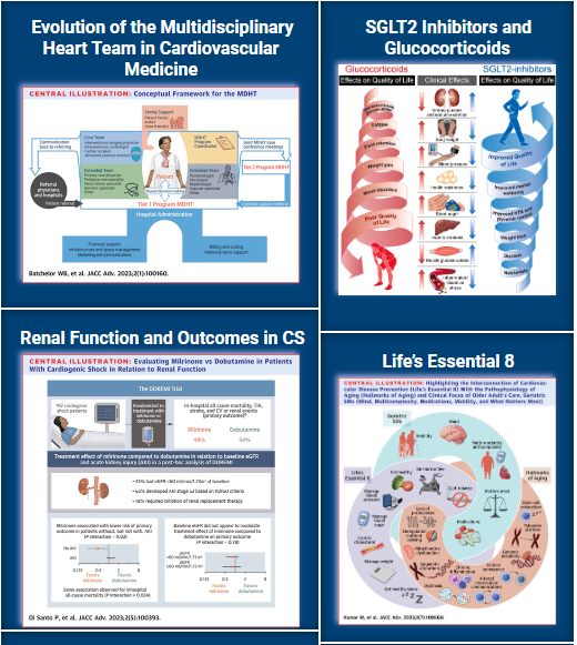 Check out this new data visualization showing the distribution of views and article downloads for #JACCAdvances' top 10 articles in 2023 👉 bit.ly/41OzAWu