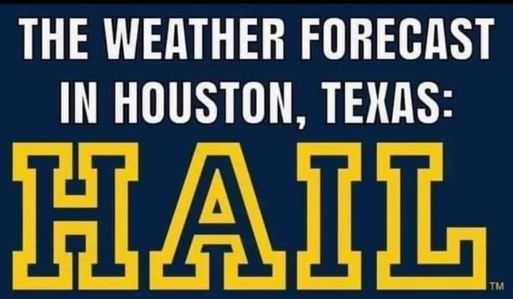 bobjod62's tweet image. Let's Go Blue!