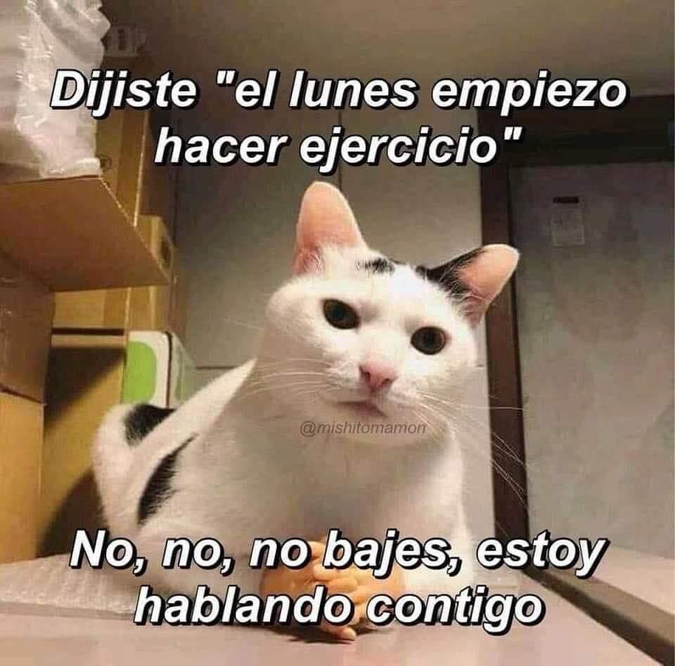 ColachoTv's tweet photo. ¿Cómo va su inicio de año?
#propositosDeAñoNuevo #propositos #gym #meme #colachotv https://t.co/Zhsb4tlwGl