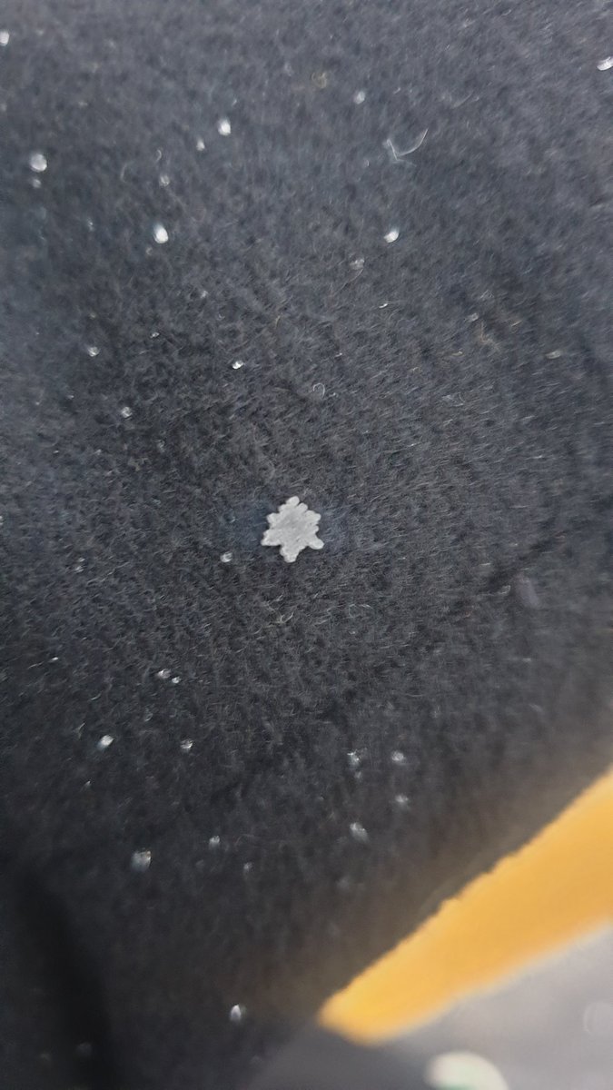EricMadPatho's tweet photo. It's snowing polygonals in Seoul rn! https://t.co/eercbBSiuM