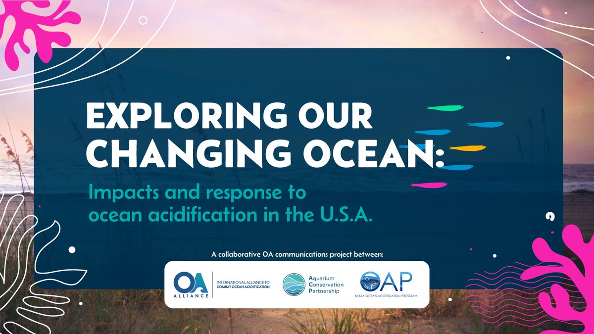 OA_Alliance's tweet image. 🐚 Working together @AquariumConser1 @OA_Alliance @OA_NOAA  are advancing #SciComms about #ClimateOceanChanges occurring in 🇺🇸 

6 StoryMaps present localized info on unique impacts, responses, &amp;amp; calls to action taking shape across the country

Learn more: tinyurl.com/5n8u8szy