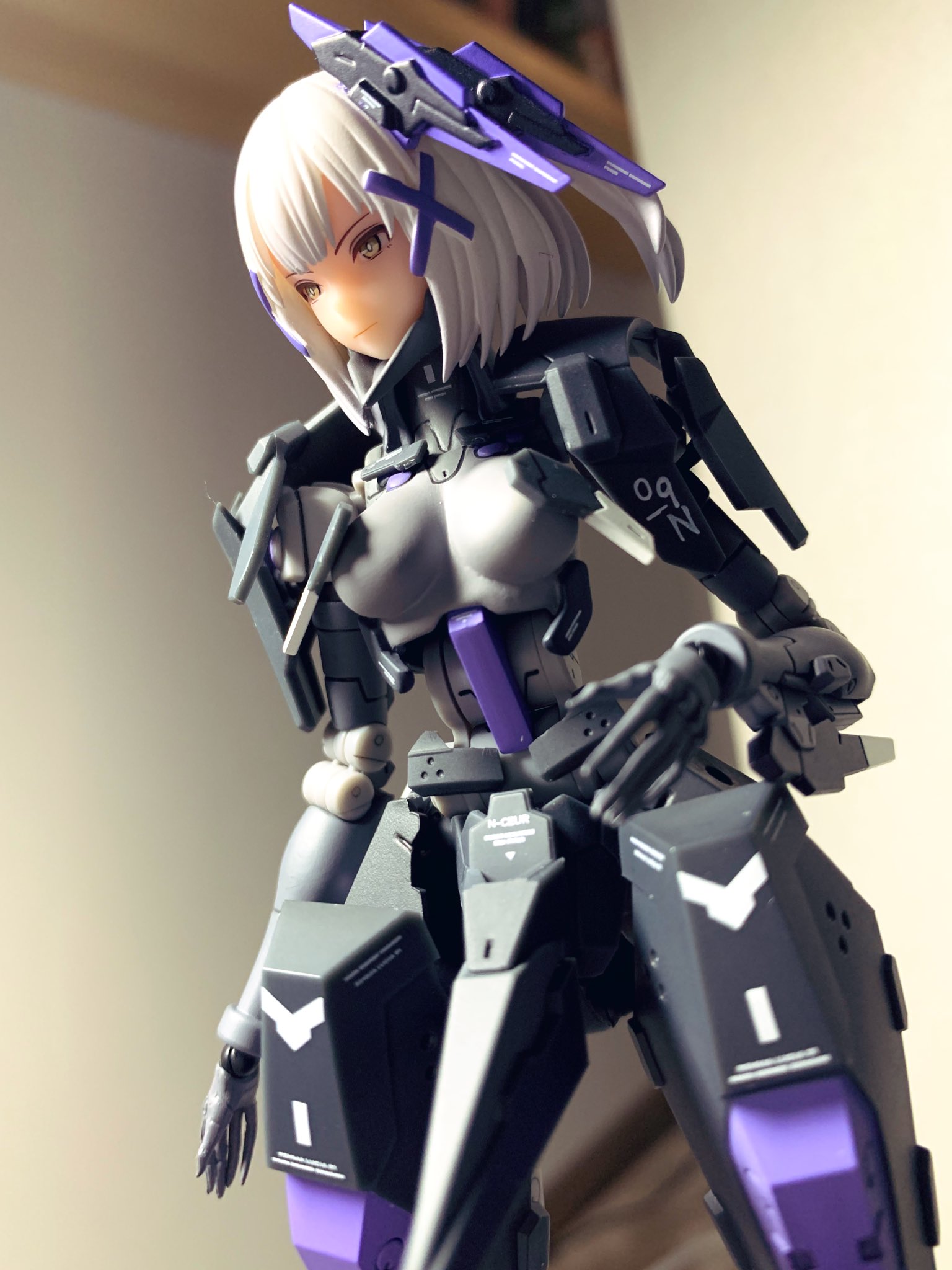 パニシング：グレイレイヴン ロゼッタ・凛烈 1/12 完成品