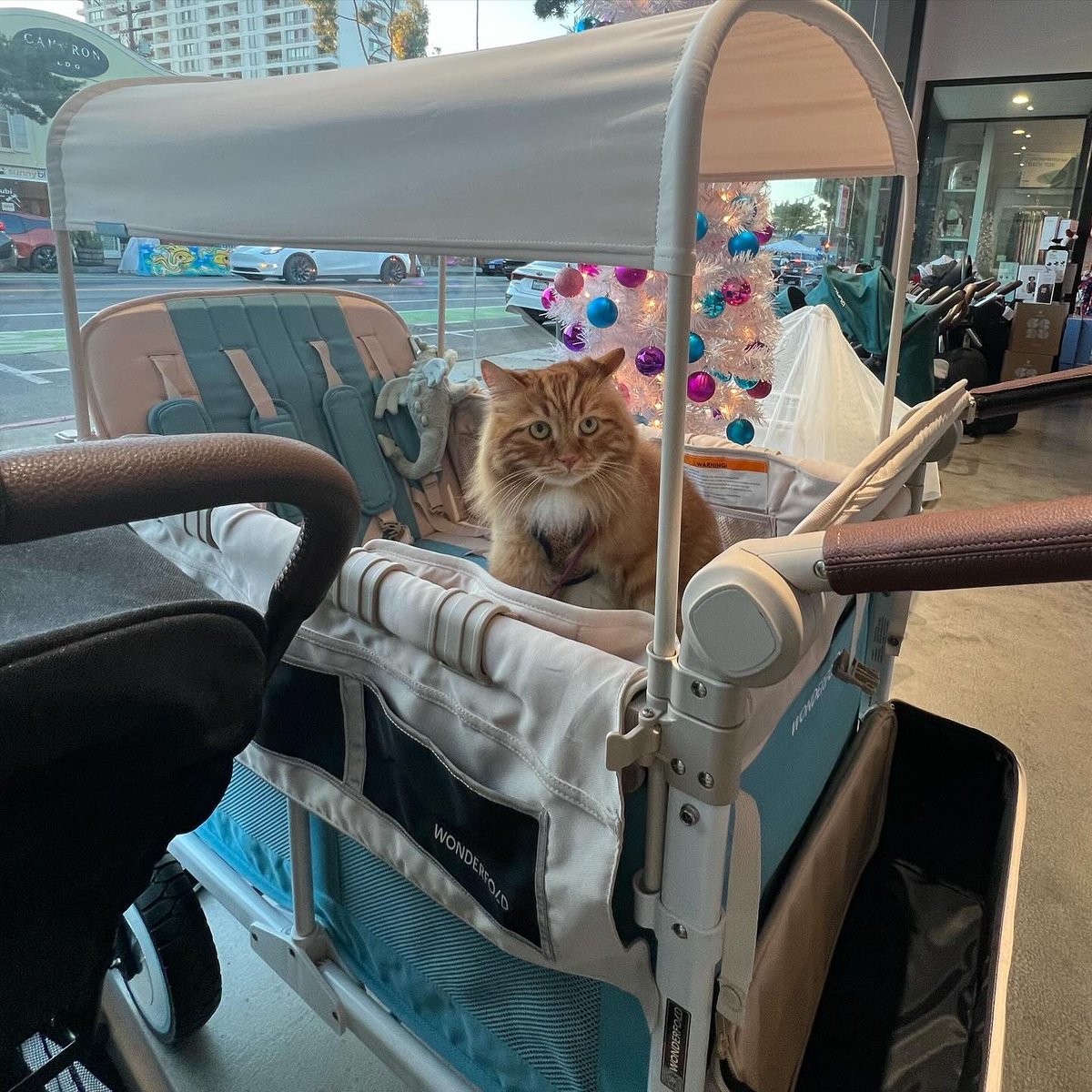 The Pump Station & Nurtury tweet media