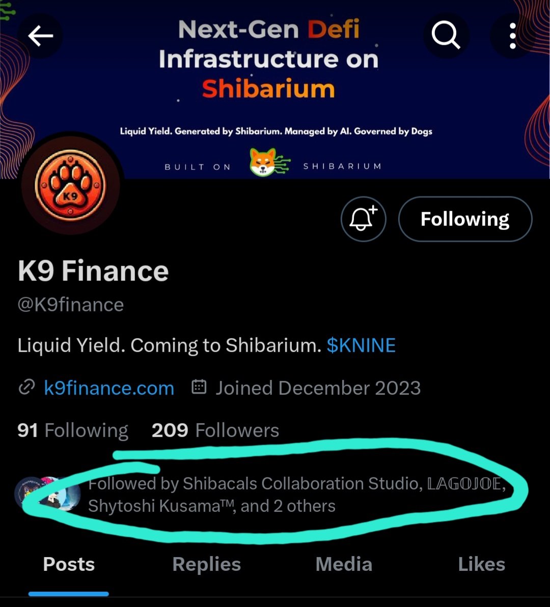 Well .. what do we have here?
Something under wraps?
Shy doesn't follow just anyone