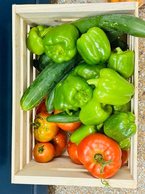 KarmaforCara's tweet photo. 🆕 #blogpost is 🆙 

Microgrant recipient Santino (15) &amp; other students from @warrenjfk in OH used their award to transform their school’s courtyard into a vegetable #garden 🥕 🍅 🥬 

Read the blog post here: https://t.co/twMgFJfLgz
#MakeMondayMatter #MondayMotivation https://t.co/dIZnPYj0CY