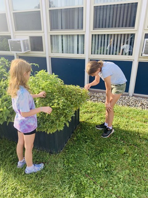 KarmaforCara's tweet photo. 🆕 #blogpost is 🆙 

Microgrant recipient Santino (15) &amp; other students from @warrenjfk in OH used their award to transform their school’s courtyard into a vegetable #garden 🥕 🍅 🥬 

Read the blog post here: https://t.co/twMgFJfLgz
#MakeMondayMatter #MondayMotivation https://t.co/dIZnPYj0CY