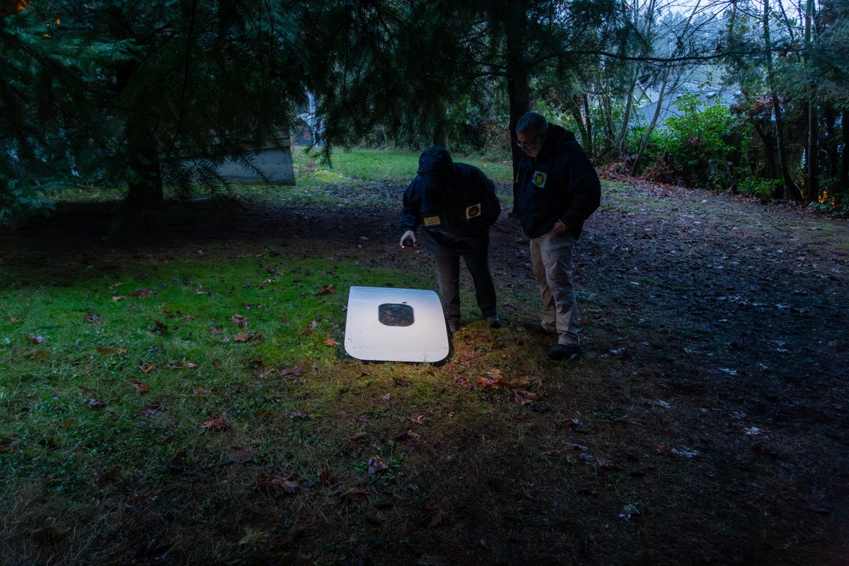 NTSB_Newsroom's tweet photo. NTSB has recovered the door plug from Alaska Airlines Flight 1282 Boeing 737-9 MAX. NTSB investigators are currently examining the door plug and will send it to the NTSB Materials Laboratory in Washington, DC for further examination. https://t.co/fqeemNeBPW