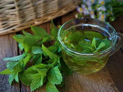 LongivityN's tweet photo. 7. Lemon Balm: The Mood Lifter

Use it to Replace: Stress and anxiety relief meds

Lemon balm (Melissa officinalis) is a fragrant herb known for its mood-lifting effects and potential to reduce stress. Its leaves contain compounds that promote relaxation. https://t.co/opgls6PoP3