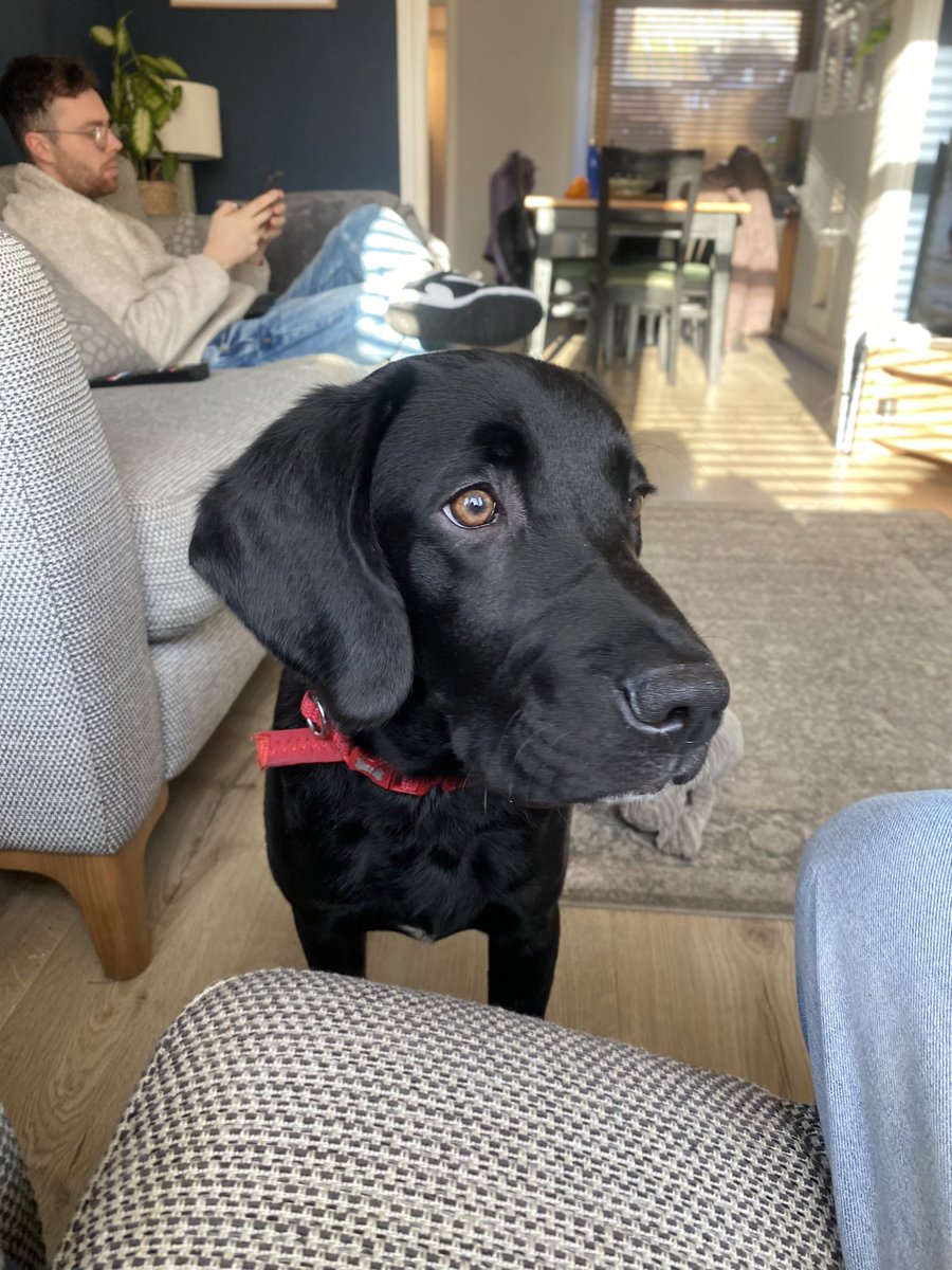 Howmanymatts's tweet image. I love you but you are being a twat right now.