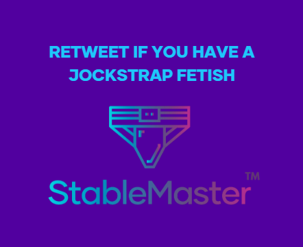 StableMaster.org