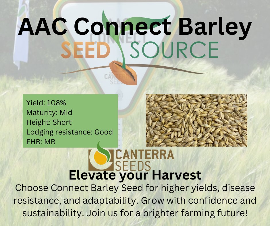 AAC Connect Barley