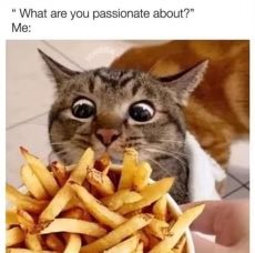 frieswifdat's tweet photo. fries wif dat?

$fwd https://t.co/IzHjyxxQkJ