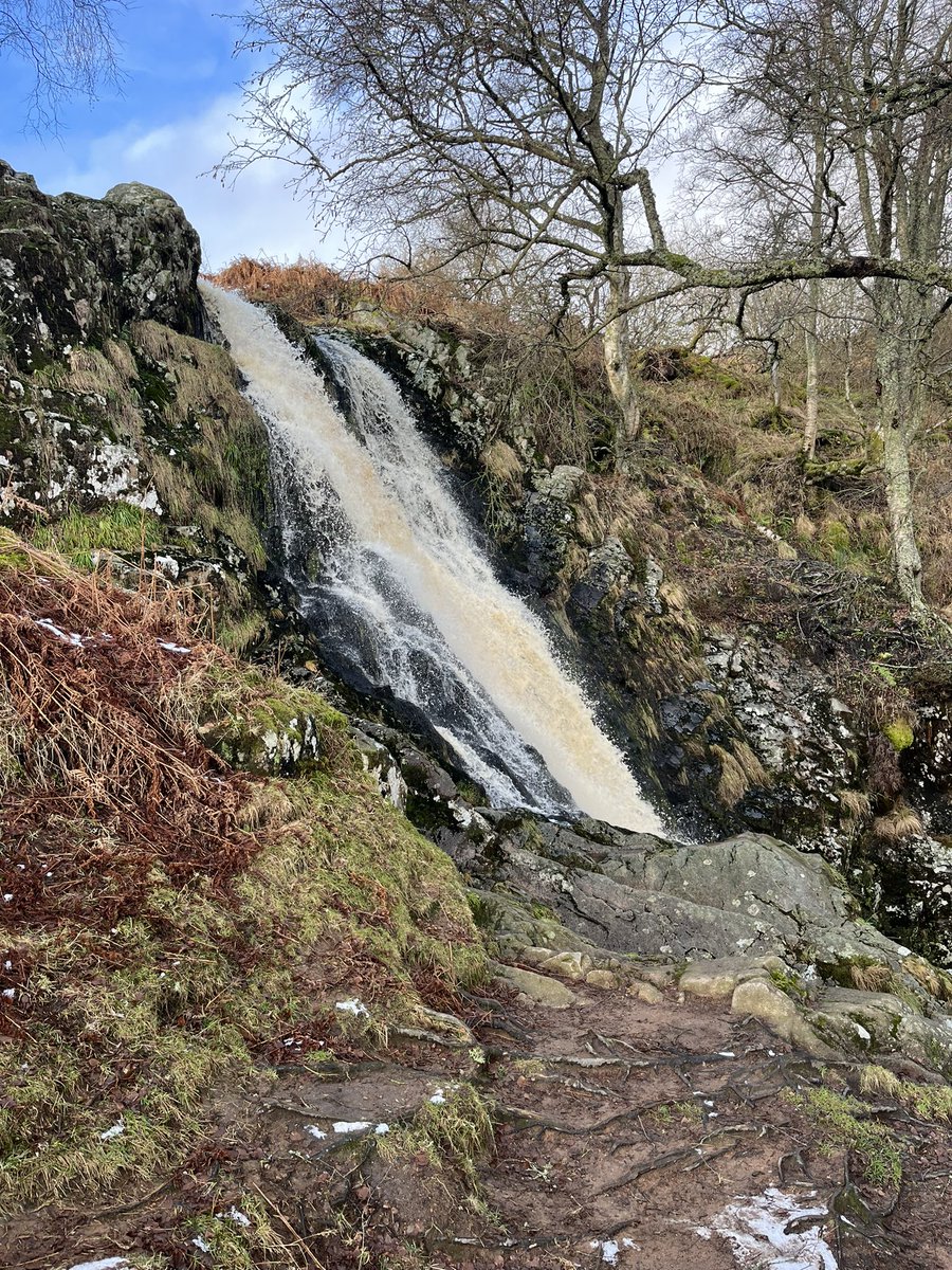 Andrew Hall tweet media