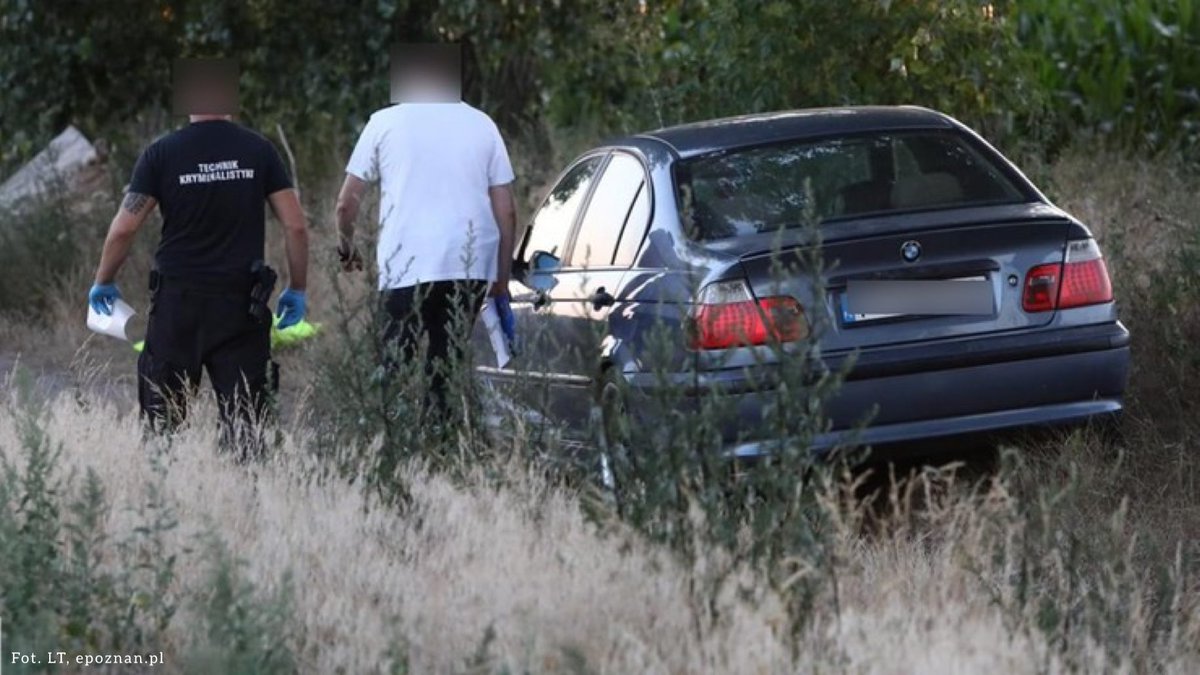 🌐 ᴛʜᴇᴘᴏʟᴀɴᴅɴᴇᴡs 🌐 tweet media