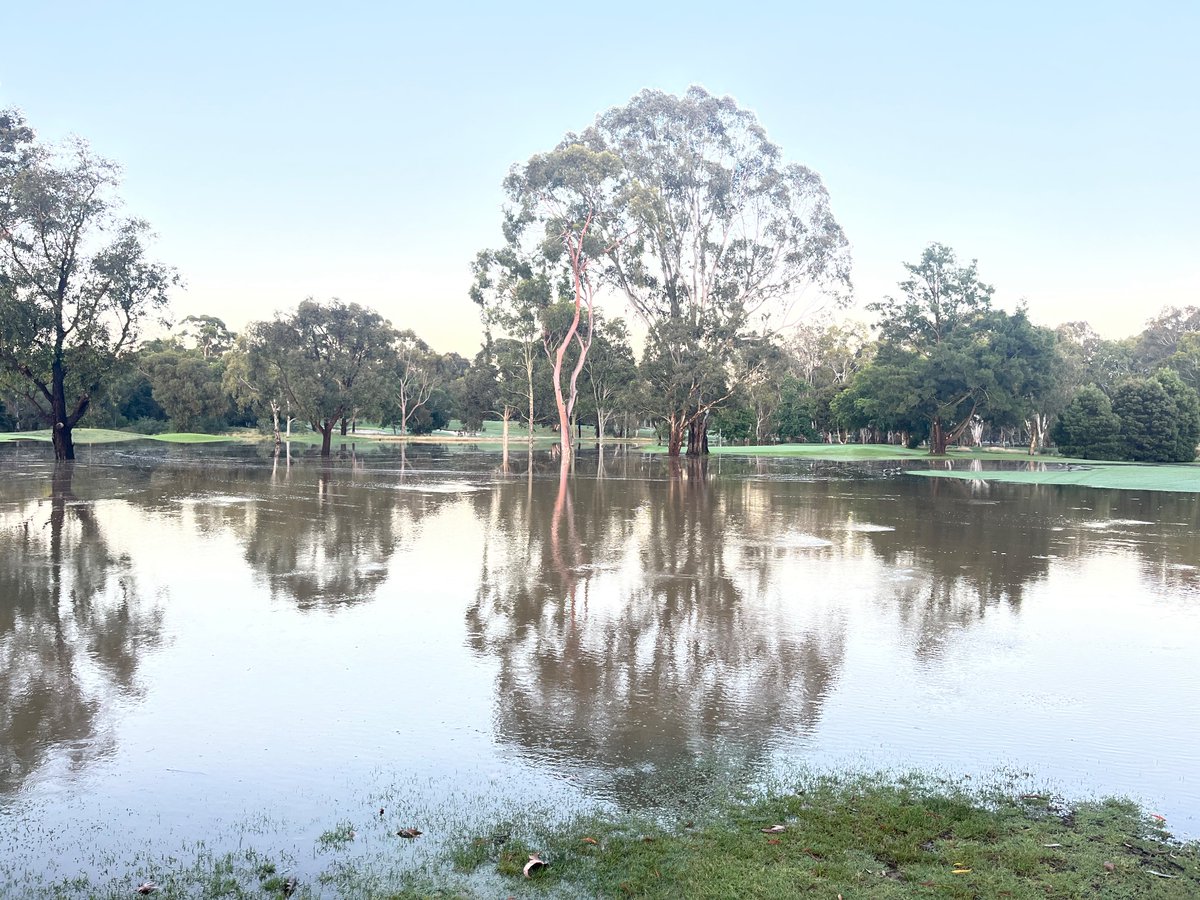 Water still coming in <a href="/KewGolfClub/">Kew Golf Club</a> and as each hour passes more of the place goes under.
Hoping to see some reduction in river level by lunchtime which might save some greens, others already gone under