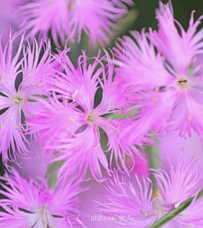 皆さま
おはようございます😊
本日も宜しくお願い致します( ˶'ᵕ'˶ )
お仕事の方もお休みの方もご安全に
良い一日をお過ごし下さいませ🤗