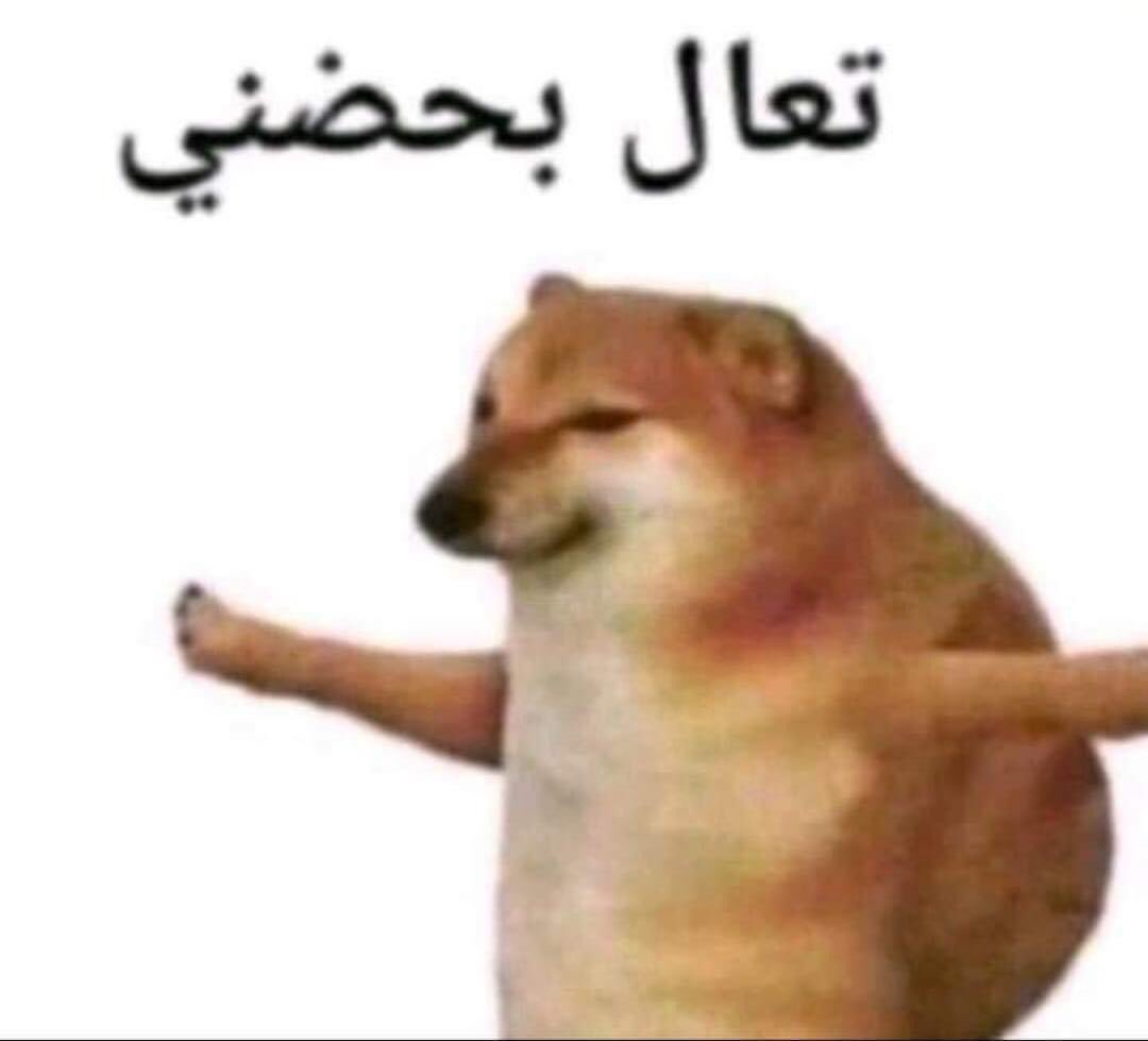 egymeme11's tweet photo. طريقتي فالمواساه والتعبير عن الحب والعتاب والحزن واي مشاعر خلقها ربنا https://t.co/PmYeUPUV00
