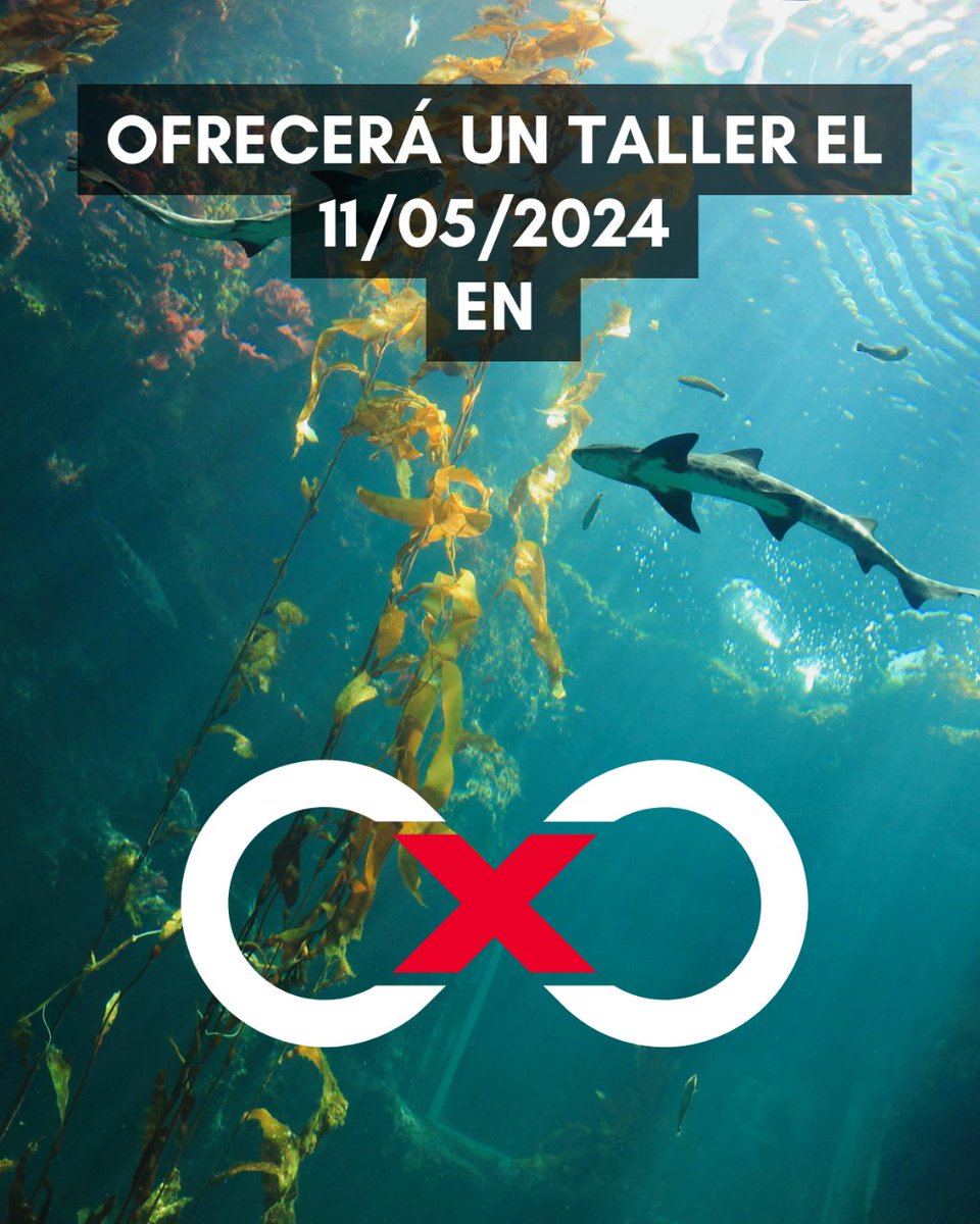 <a href="/Iralekue/">Irantzu Lekue</a> Podrás reservar tu plaza en este taller una semana antes del evento.

Aprovecha las entradas early bird (39€) antes de que se acabe este próximo día 15. 

📆 11/05/2024
📌 Palacio de Congresos Europa
🎟️ bit.ly/entradastedxvg

#TEDxVG